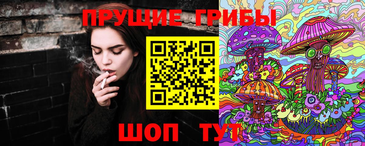 Галлюциногенные грибы Psilocybine cubensis Пятигорск