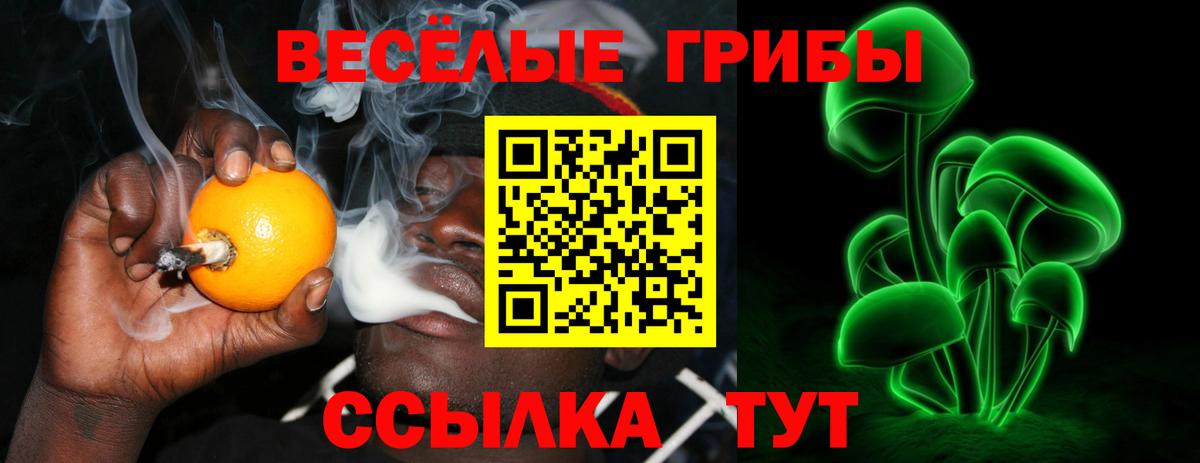 Галлюциногенные грибы мицелий  Вход с VPN  Галлюциногенные грибы MAGIC MUSHROOMS  Пятигорск 